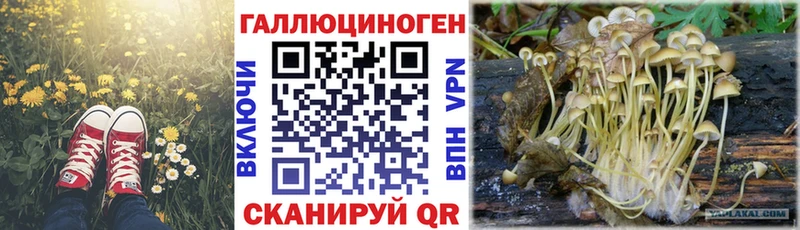 Псилоцибиновые грибы Magic Shrooms  Шлиссельбург 